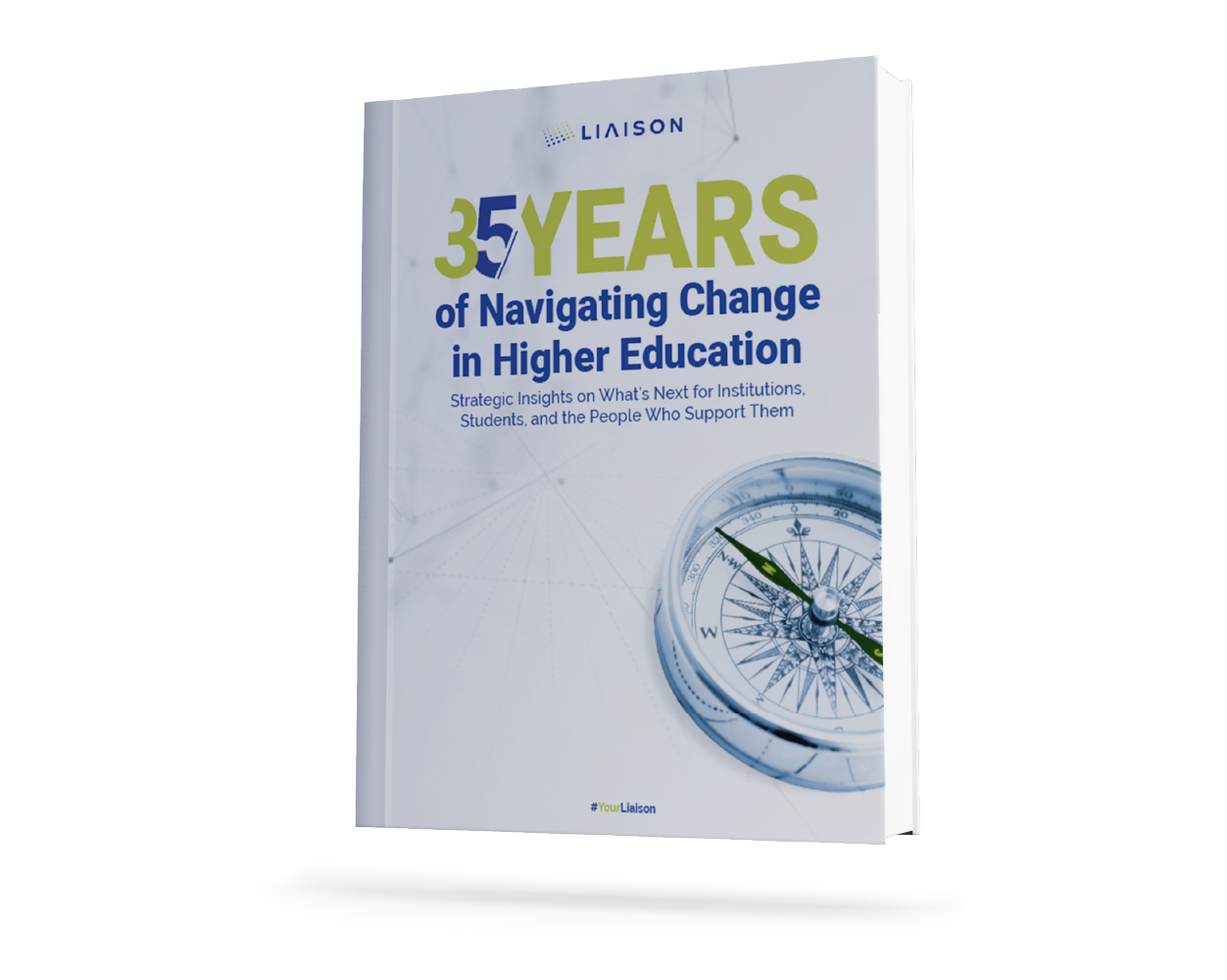 Lessons From Liaisons Leaders- Expert Insights for the Year Ahead_v1_LP Graphic