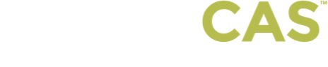 logo_businesscas